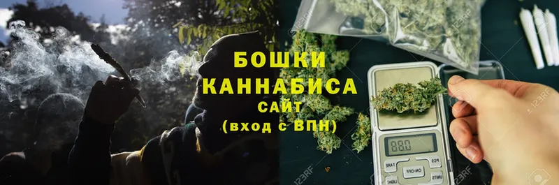 Конопля Ganja  Грайворон 